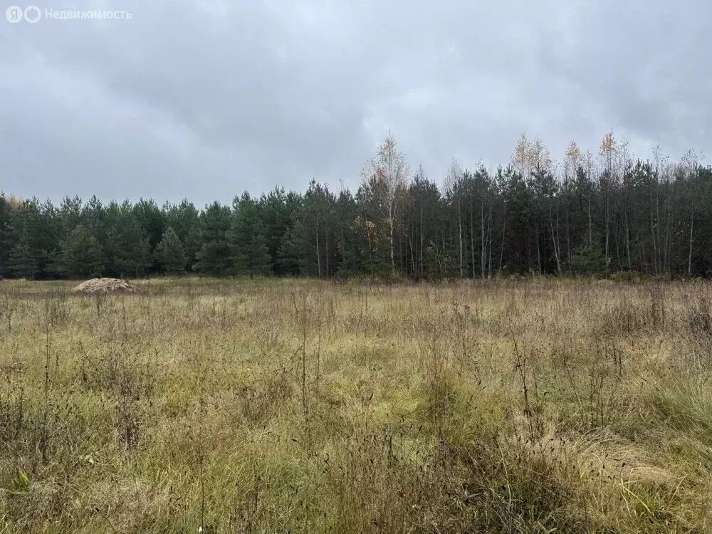 Участок в Тверская область, Калининский муниципальный округ, посёлок ... - Фото 1