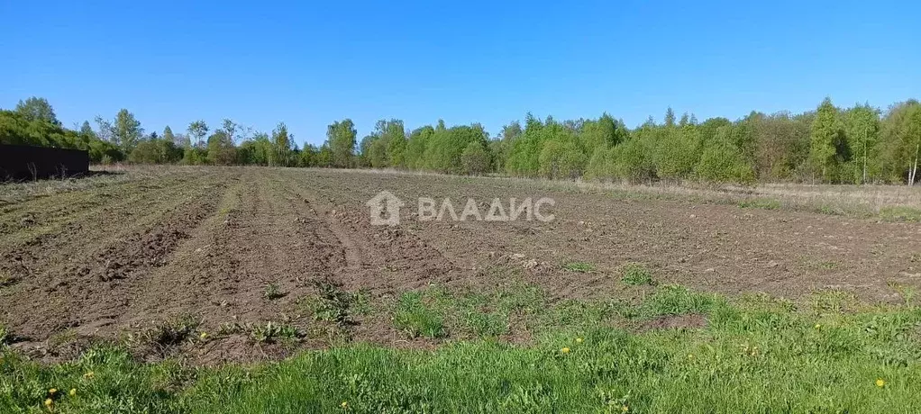 Участок в Калужская область, Дзержинский район, Совхоз Чкаловский ... - Фото 0