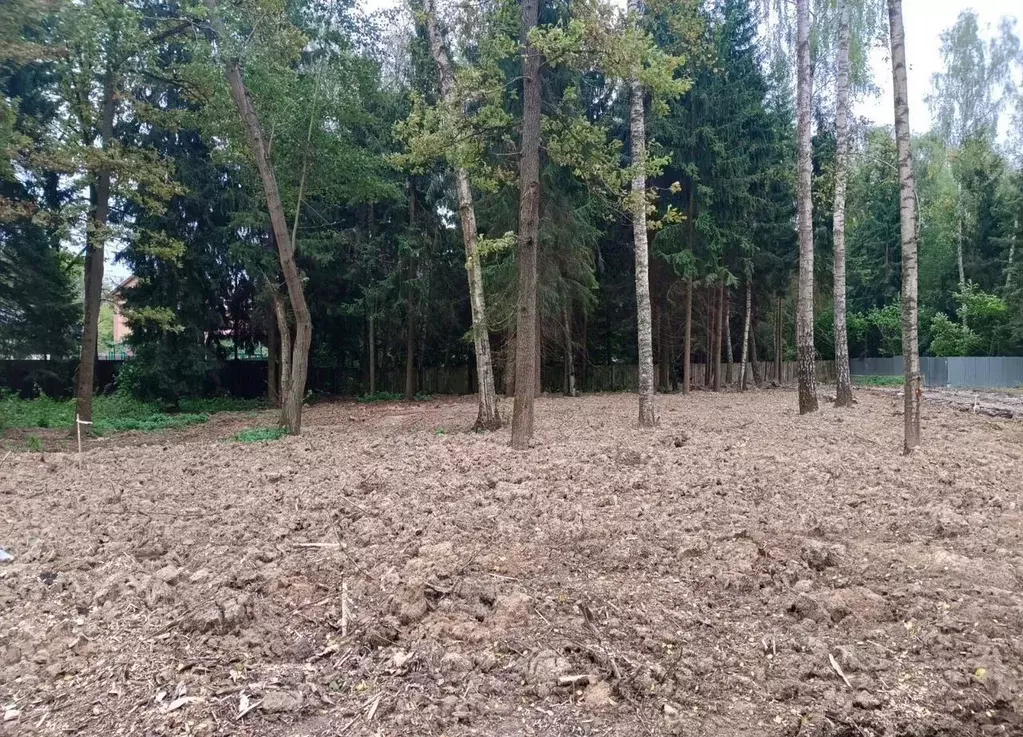 Участок в Москва № 177 кв-л,  (33.0 сот.) - Фото 1