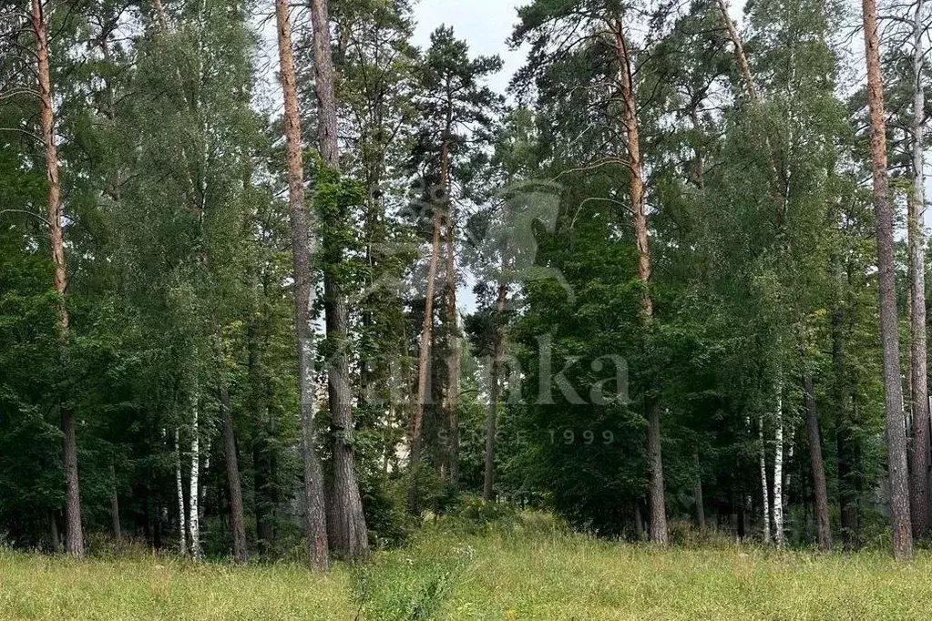 Участок в Московская область, Одинцовский городской округ, пос. ... - Фото 0