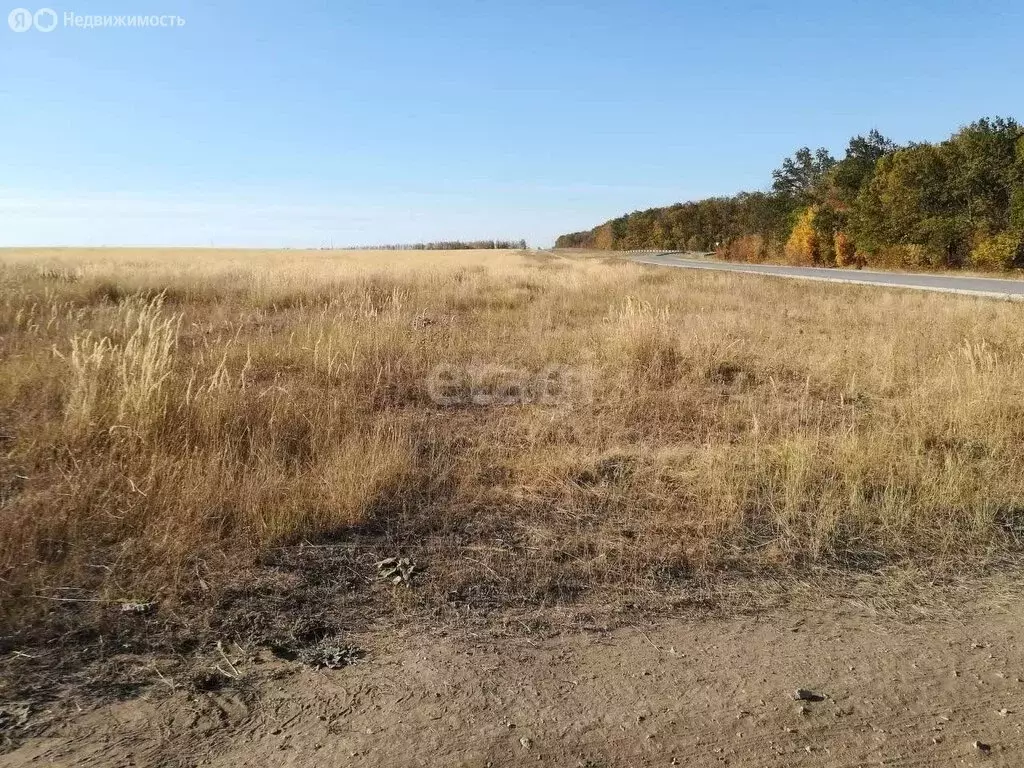 Участок в село Хвощеватка, Васильковая улица (1110 м) - Фото 0
