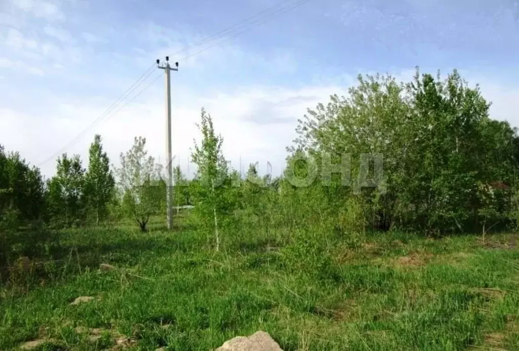 Участок в Кемеровская область, Березовский городской округ, пос. ... - Фото 1