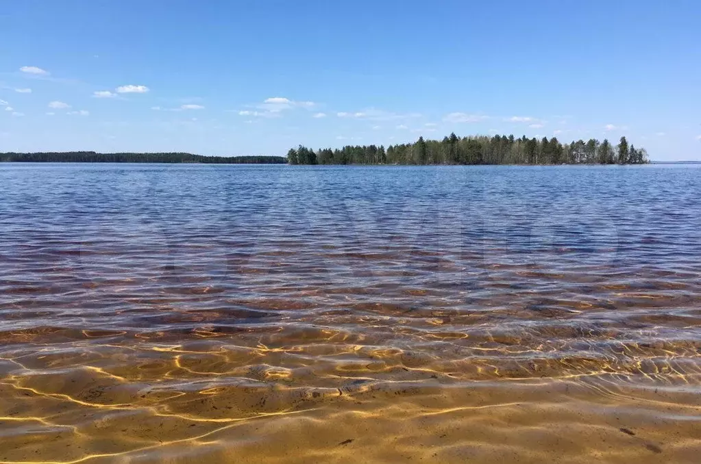 Участок 147,15 га (СНТ, ДНП) - Фото 1
