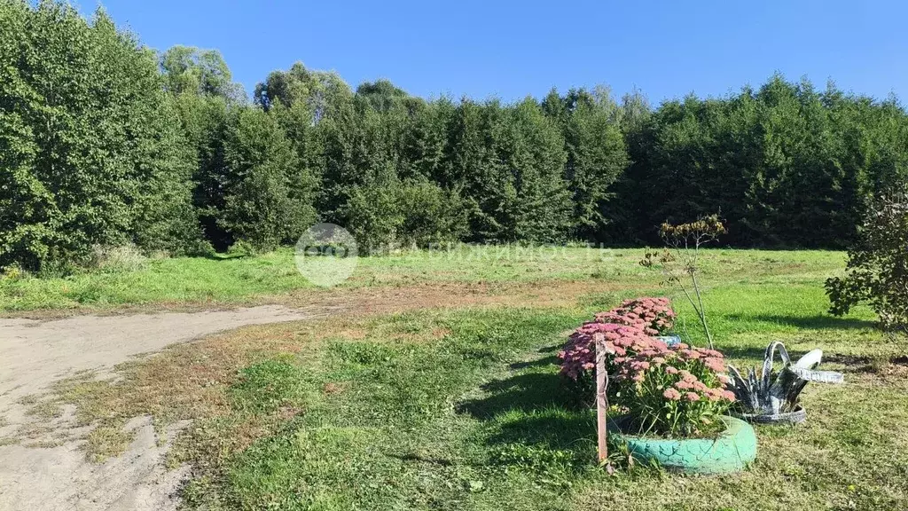 Участок в Рязанская область, Рыбное ул. Матюхина, 69 (12.75 сот.) - Фото 1