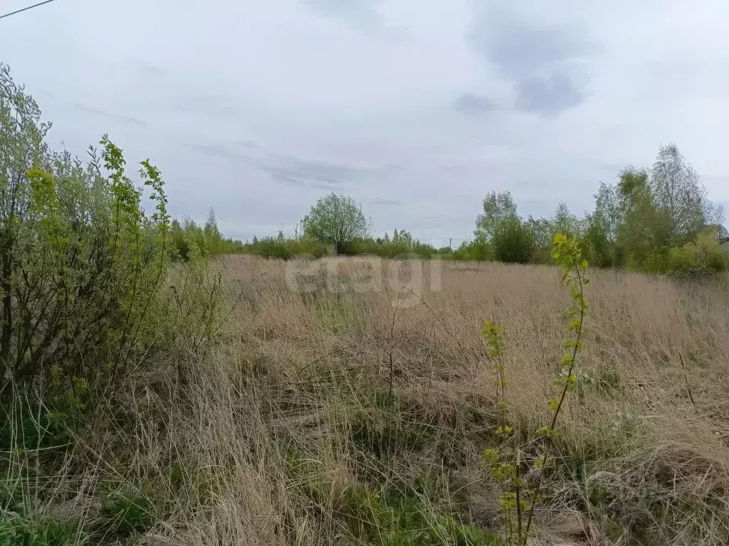 Участок в Тульская область, Донской Северо-Задонск мкр, Молодежная ул. ... - Фото 0