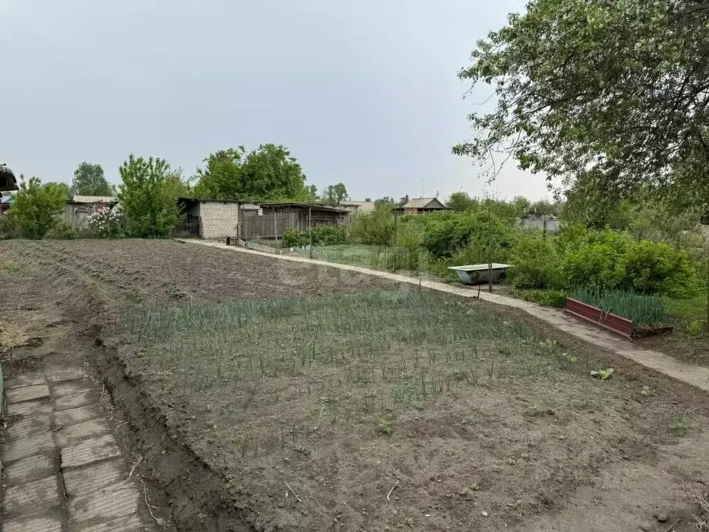 Дом в Амурская область, Ивановский муниципальный округ, с. Среднебелая ... - Фото 0