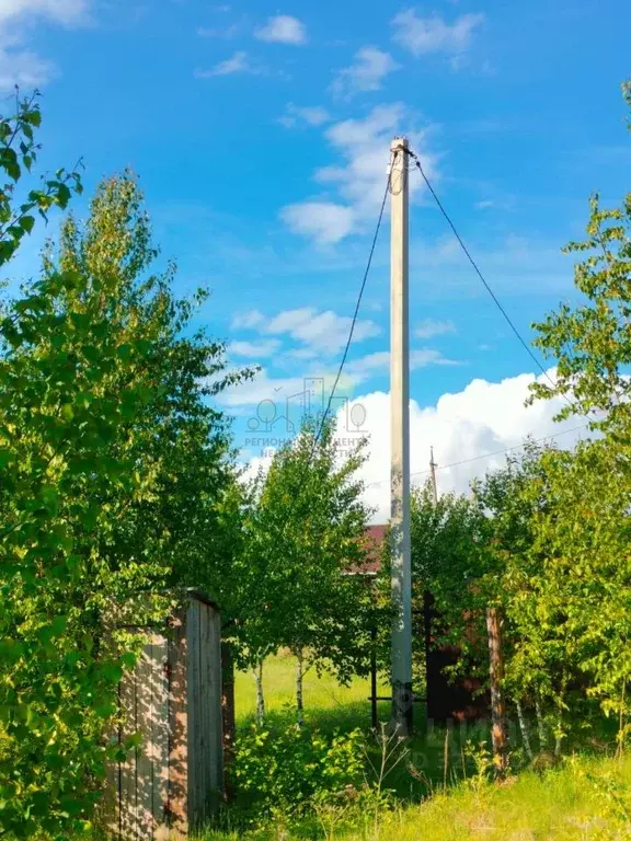 Участок в Иркутская область, Иркутский муниципальный округ, д. ... - Фото 2