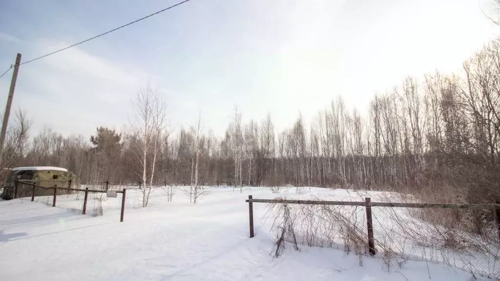 Участок в Томская область, Шегарский район, Заречное НИИ ЯФ ... - Фото 1