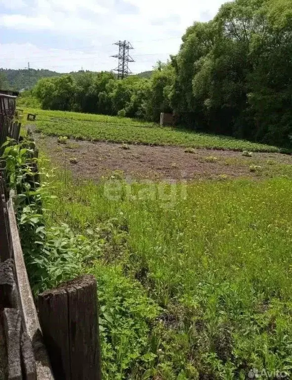 Участок в Амурская область, Благовещенск городской округ, с. Белогорье ... - Фото 0
