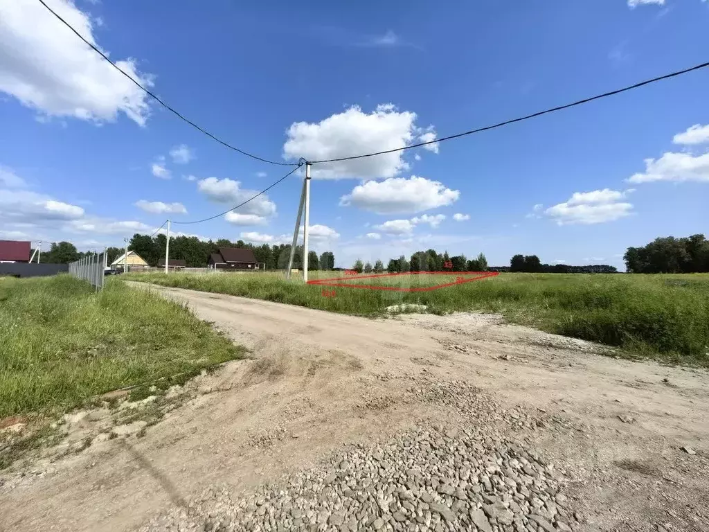 Участок в Новосибирская область, Новосибирский район, Морской ... - Фото 1