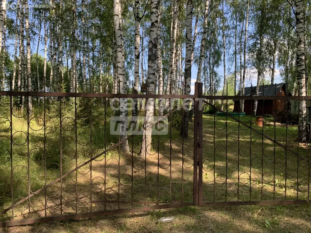 Дом в деревня Александровка, Лесная улица, 15Б (204.8 м) - Фото 2