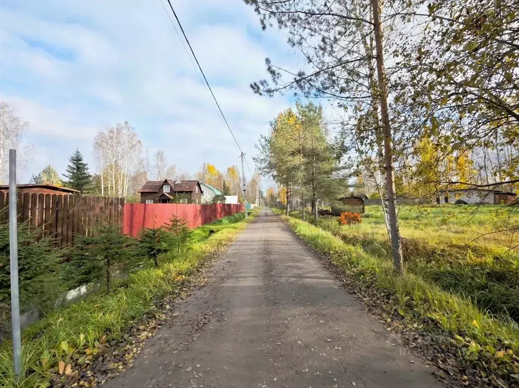 Участок в Ленинградская область, Всеволожский район, Рахьинское ... - Фото 0