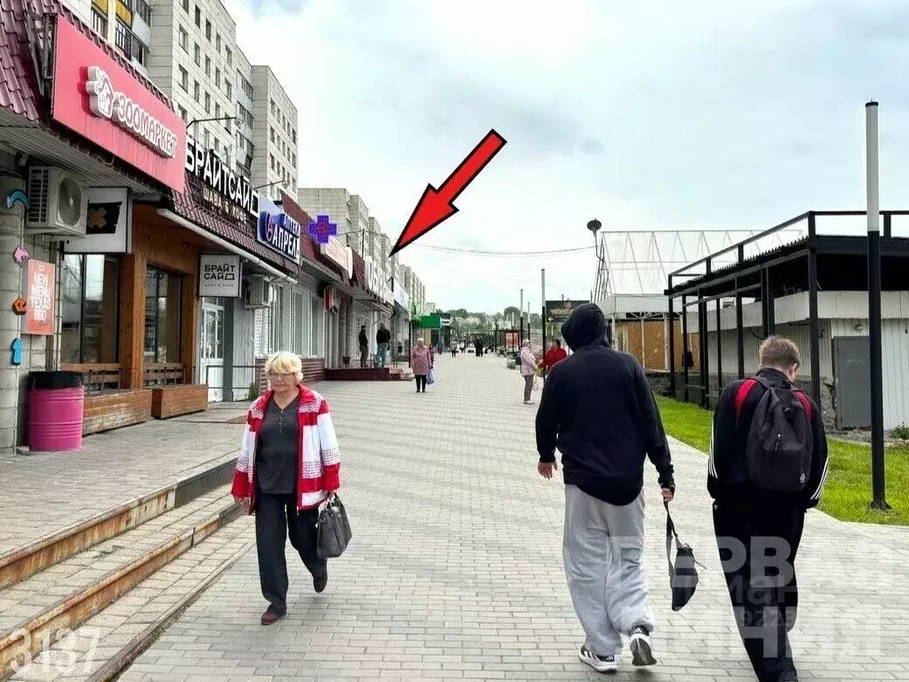 Помещение свободного назначения в Челябинская область, Златоуст просп. ... - Фото 0