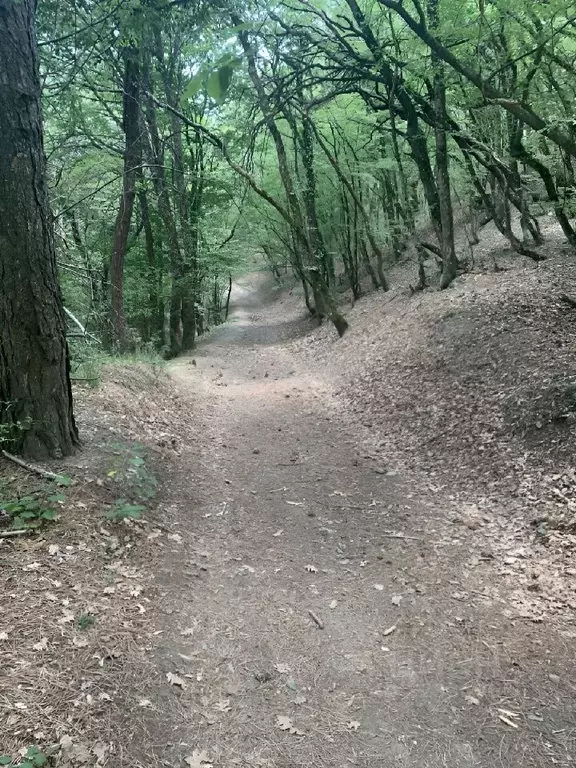 Участок в Крым, Ялта городской округ, Краснокаменка пгт ул. Имени ... - Фото 1