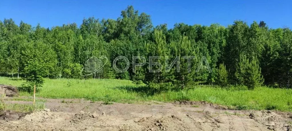Участок в Тюменская область, Нижнетавдинский район, Тюневское с/пос, ... - Фото 1