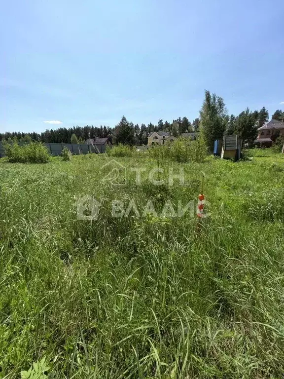 Участок в Московская область, Богородский городской округ, Приозерное ... - Фото 2