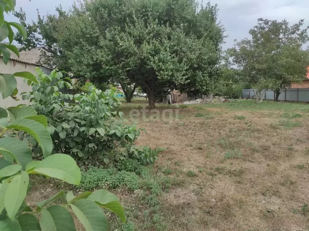 Участок в Краснодарский край, Ейский район, Кухаривское с/пос, с. ... - Фото 1