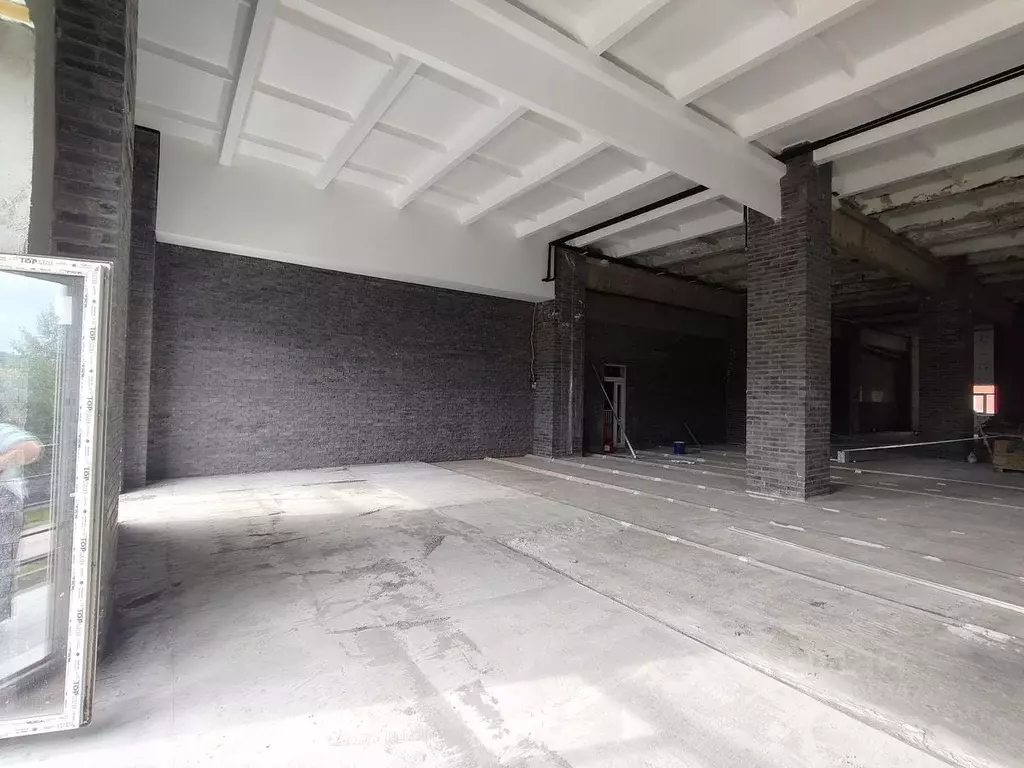 Помещение свободного назначения в Новосибирская область, Новосибирск ... - Фото 1