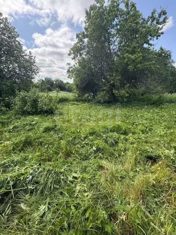 Участок в Ярославская область, Ростовский муниципальный округ, д. ... - Фото 2