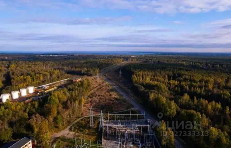 Производственное помещение в Ленинградская область, Всеволожский ... - Фото 2