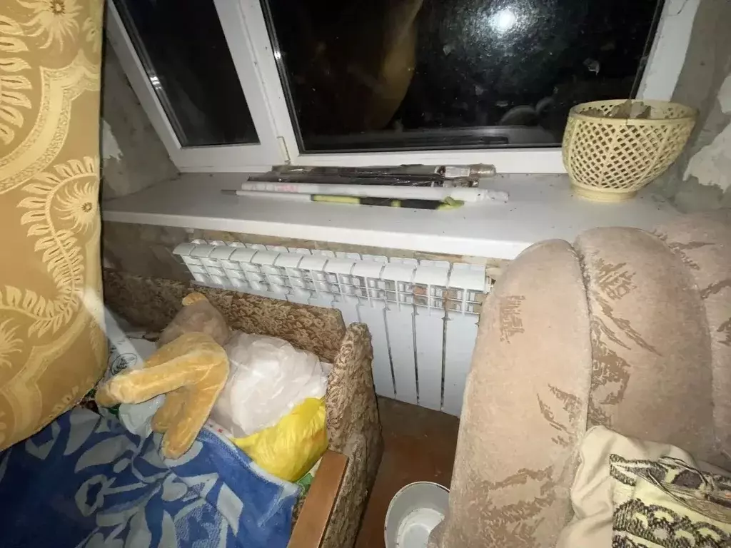 Дом в Ростовская область, Азовский район, Елизаветинское с/пос, Коса ... - Фото 1