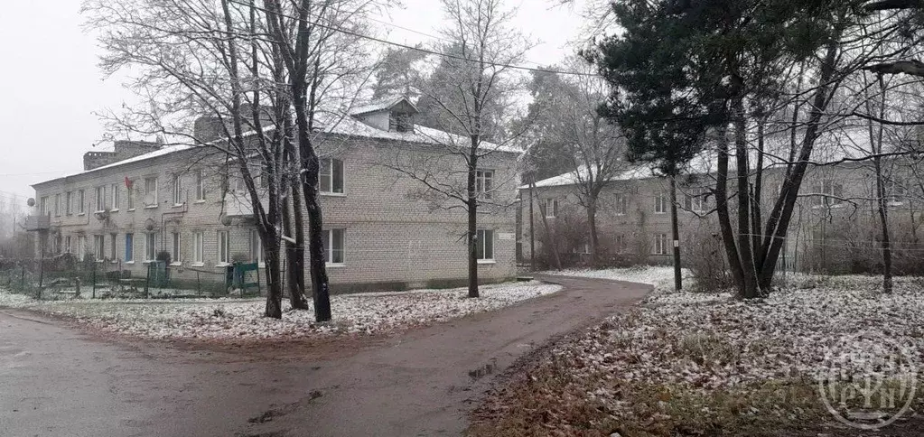 2-к кв. Ленинградская область, Выборгский район, Рощинское городское ... - Фото 1