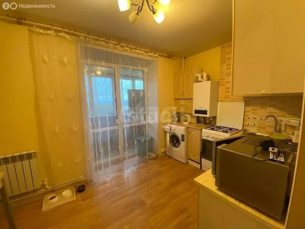 1-комнатная квартира: Кострома, Жужелинская улица, 39 (35 м) - Фото 1