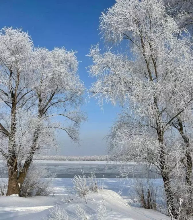 Коттедж в Новосибирская область, Новосибирск Белые Росы кп, 204 (200 ... - Фото 2