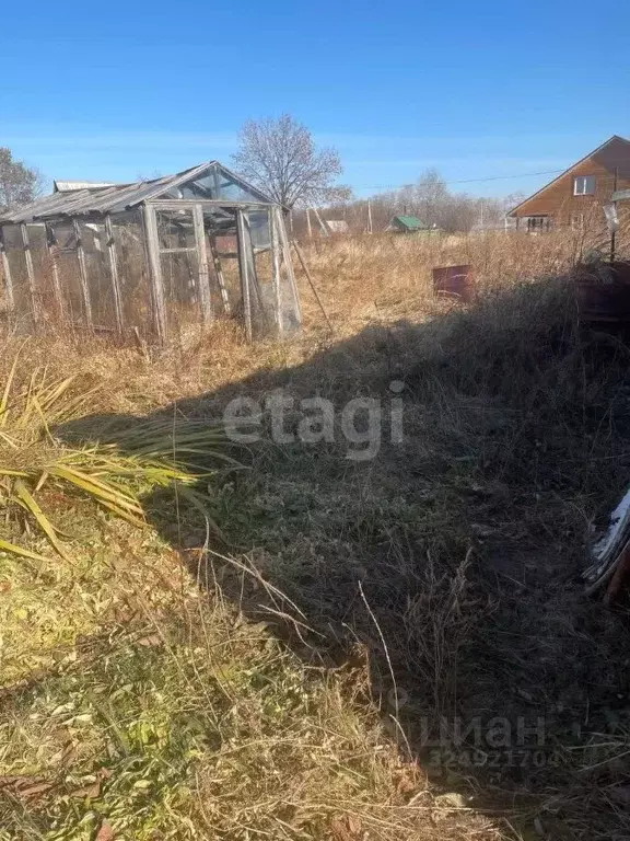 Участок в Еврейская автономная область, Смидовичский район, с. ... - Фото 2