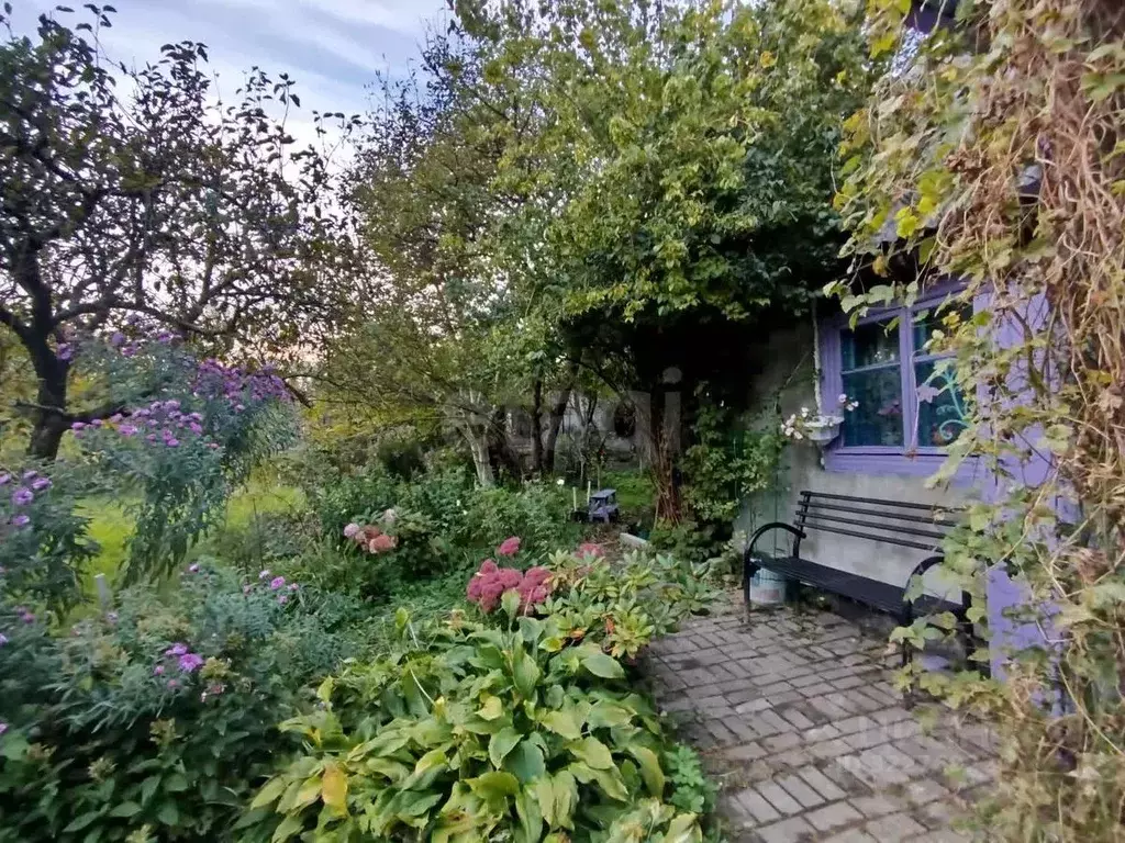 Участок в Калининградская область, Калининград Октябрьское СНТ, ул. ... - Фото 0