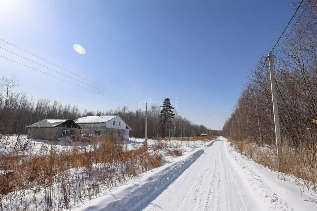 Участок в Хабаровский край, Хабаровский район, с. Бычиха ул. Дальняя ... - Фото 1