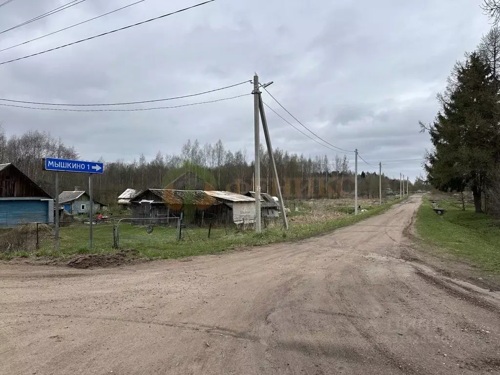 Участок в Ленинградская область, Кингисеппский район, Нежновское ... - Фото 0