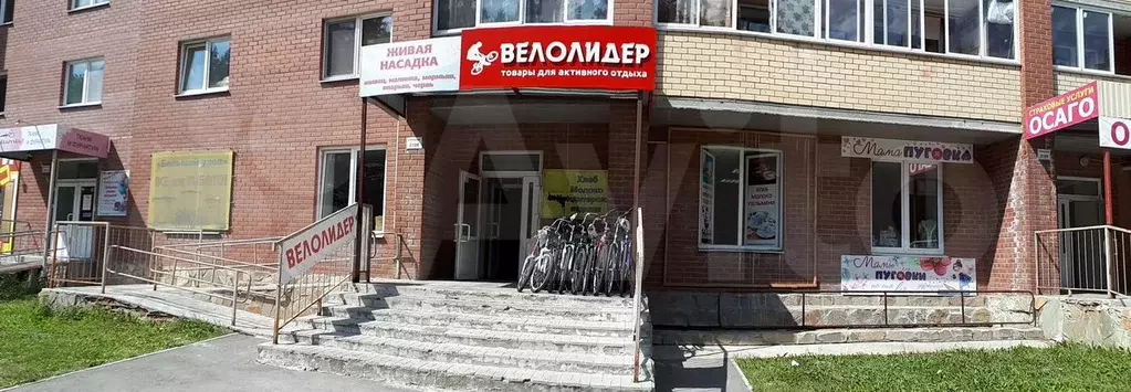 Помещение свободного назначения - Фото 1