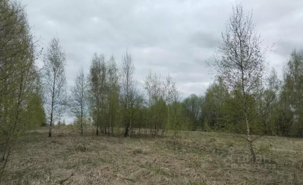 Участок в Московская область, Дмитровский муниципальный округ, д. ... - Фото 1