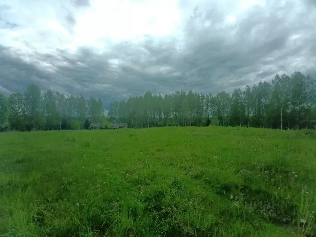 Участок в Новгородская область, Демянский муниципальный округ, д. ... - Фото 0
