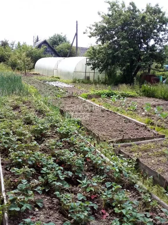 Дом в деревня Игнатово, СНТ Игнатовский (30 м) - Фото 2