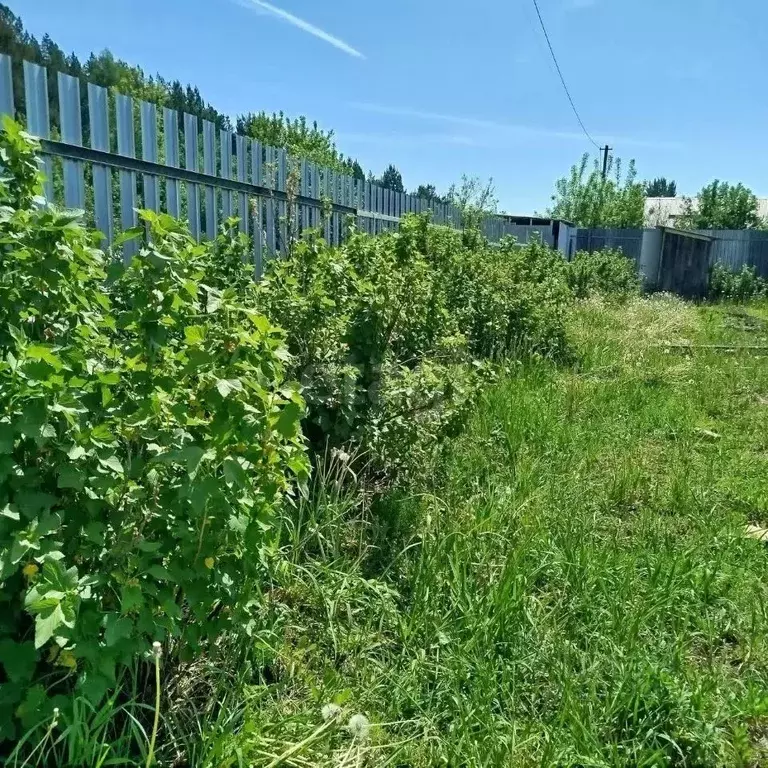 Участок в Самарская область, Красноярский район, Новый Буян с/пос, ... - Фото 1