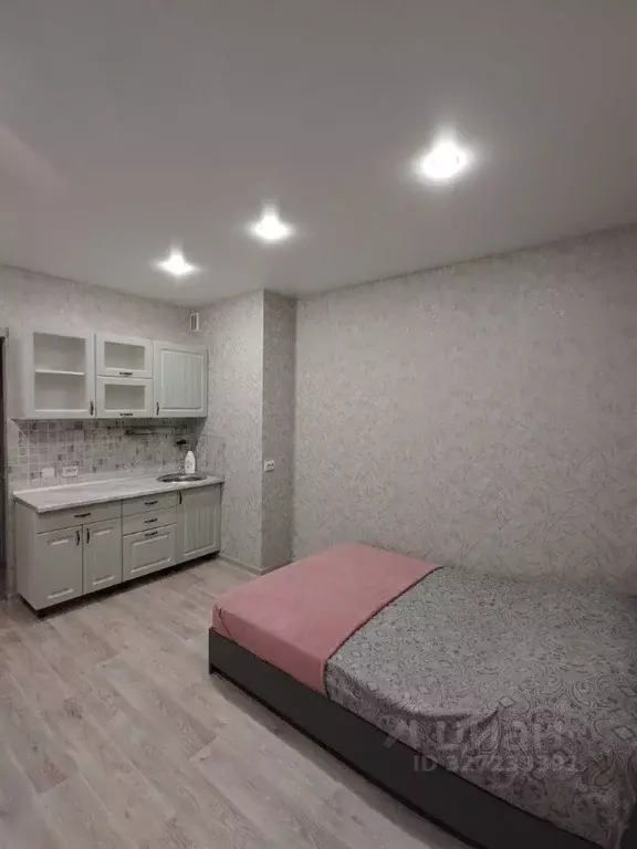 Студия Новосибирская область, Новосибирск ул. Кирова, 274 (25.0 м) - Фото 2