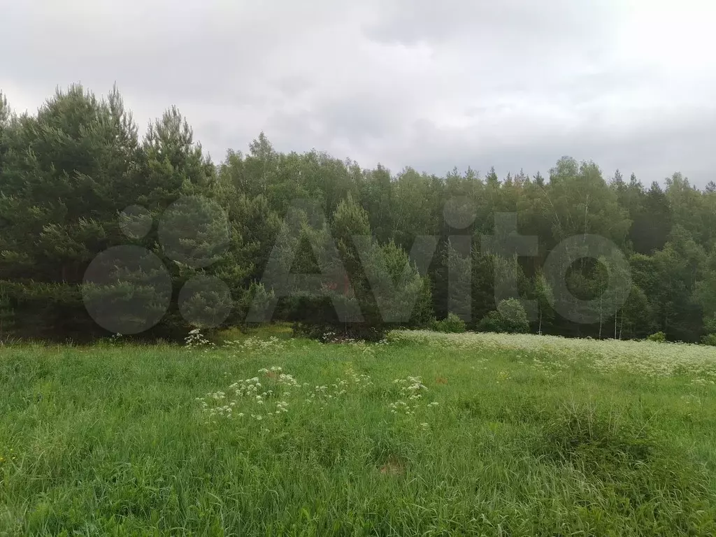 Участок 11 сот. (ИЖС) - Фото 1