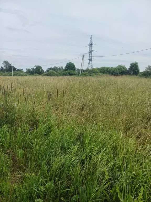 Участок в Новгородская область, Новгородский район, Борковское с/пос, ... - Фото 1