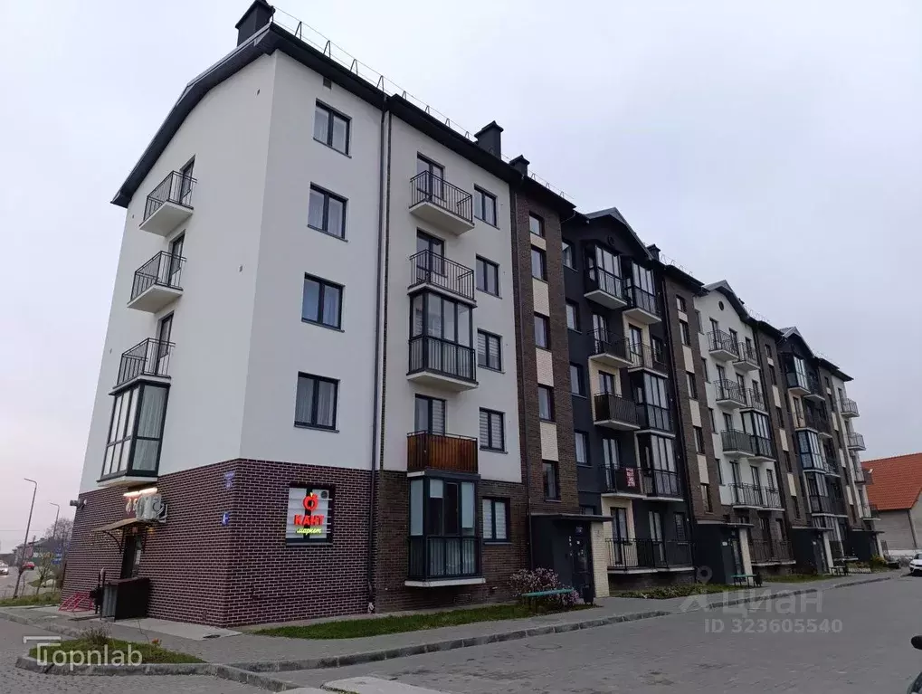 1-к кв. Калининградская область, Пионерский Рабочая ул., 44 (22.4 м) - Фото 1