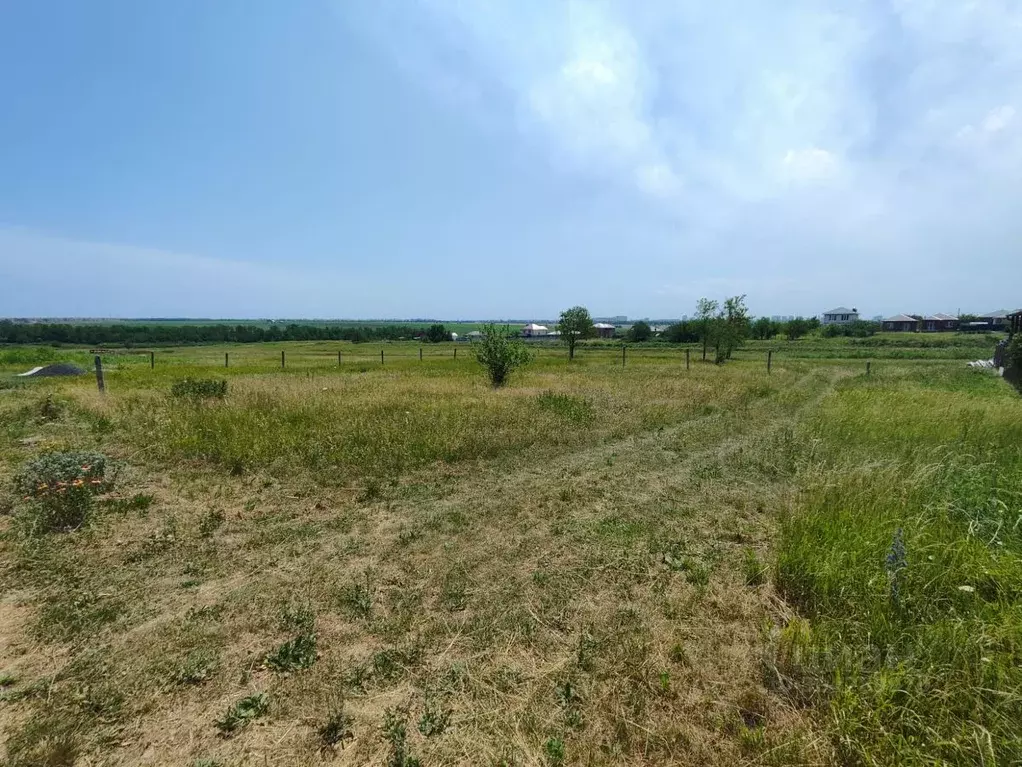 Участок в Ростовская область, Ростов-на-Дону Защитник садовое ... - Фото 1