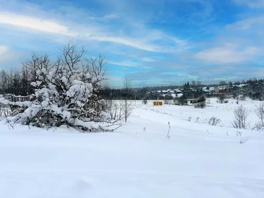 Участок в Московская область, Дмитровский муниципальный округ, Форест ... - Фото 0
