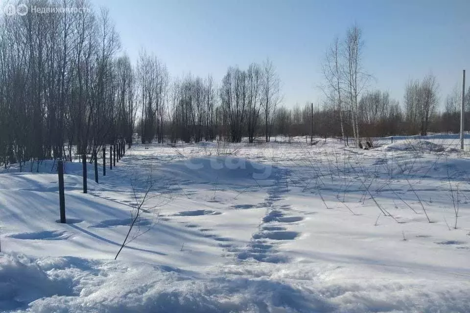 Участок в село Дрокино, улица Чкалова (12.5 м) - Фото 2