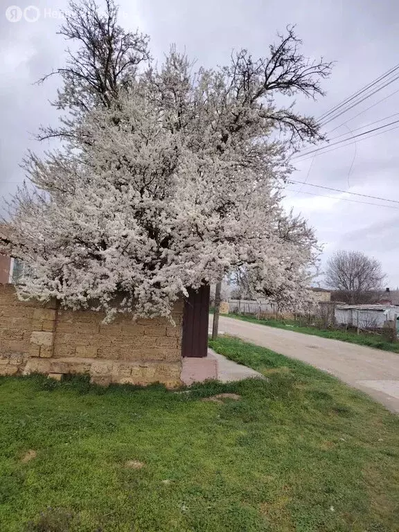 Дом в Сакский район, Митяевское сельское поселение, село Журавли, ... - Фото 2