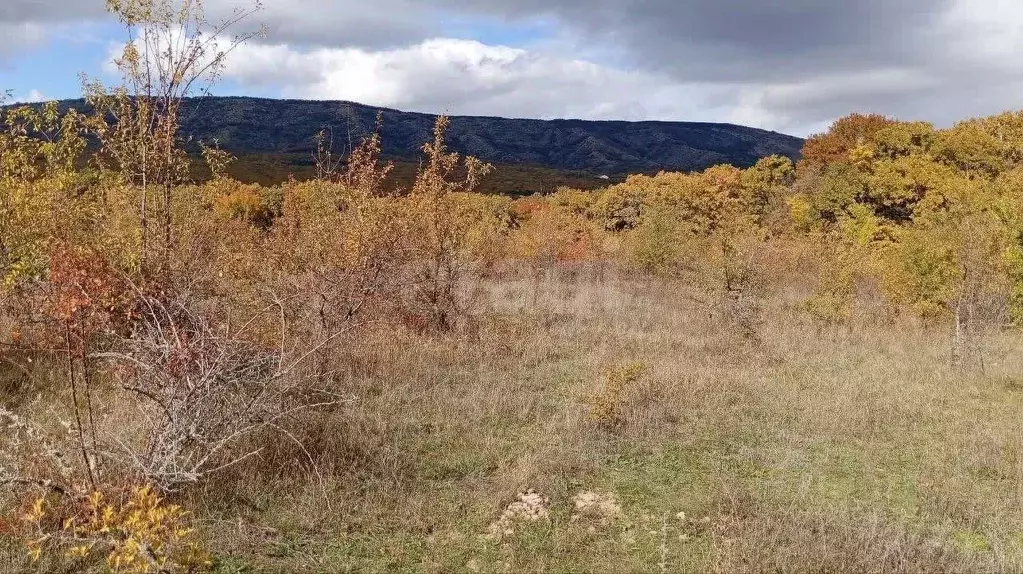 Участок в Крым, Кировский район, Старый Крым городское поселение ул. ... - Фото 1