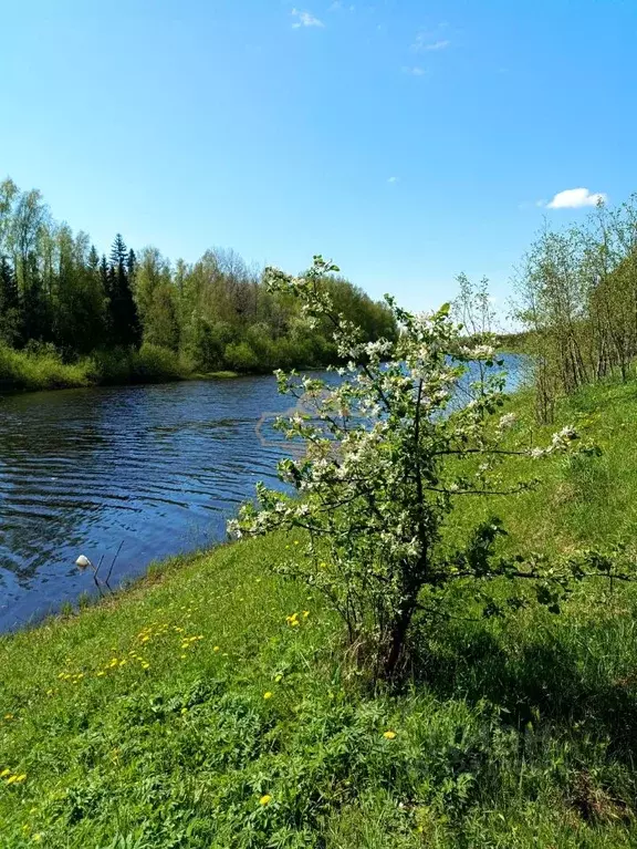 Участок в Новгородская область, Чудовский район, Успенское с/пос, ... - Фото 1