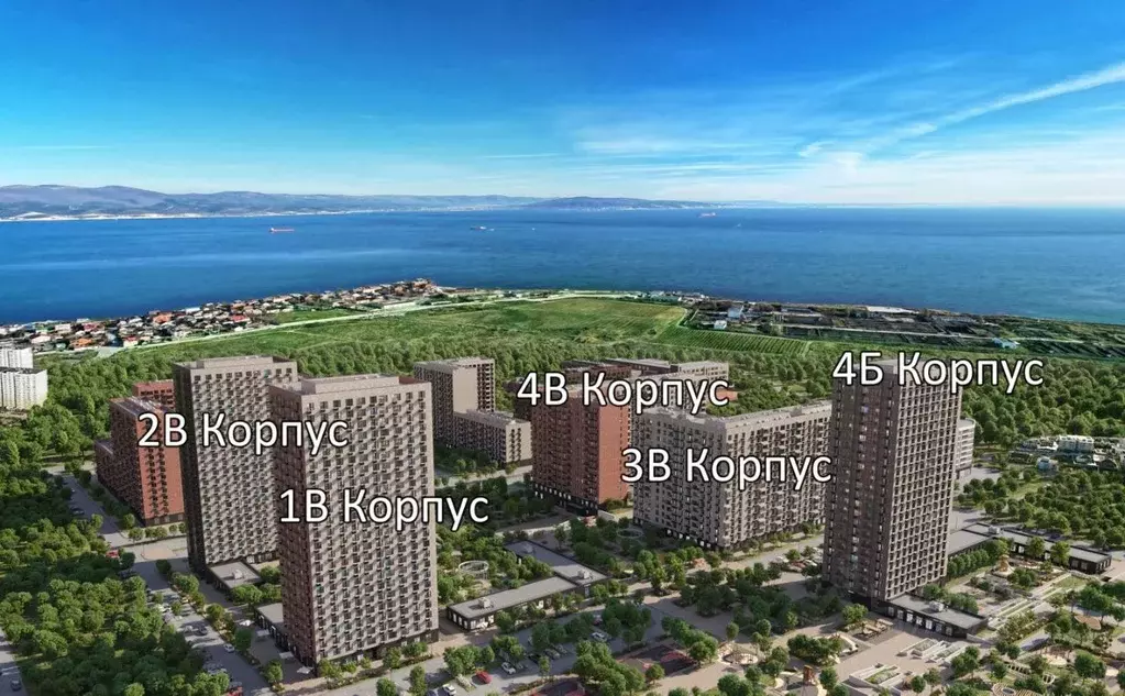 1-к кв. Краснодарский край, Новороссийск Барса жилой комплекс (32.4 м) - Фото 1