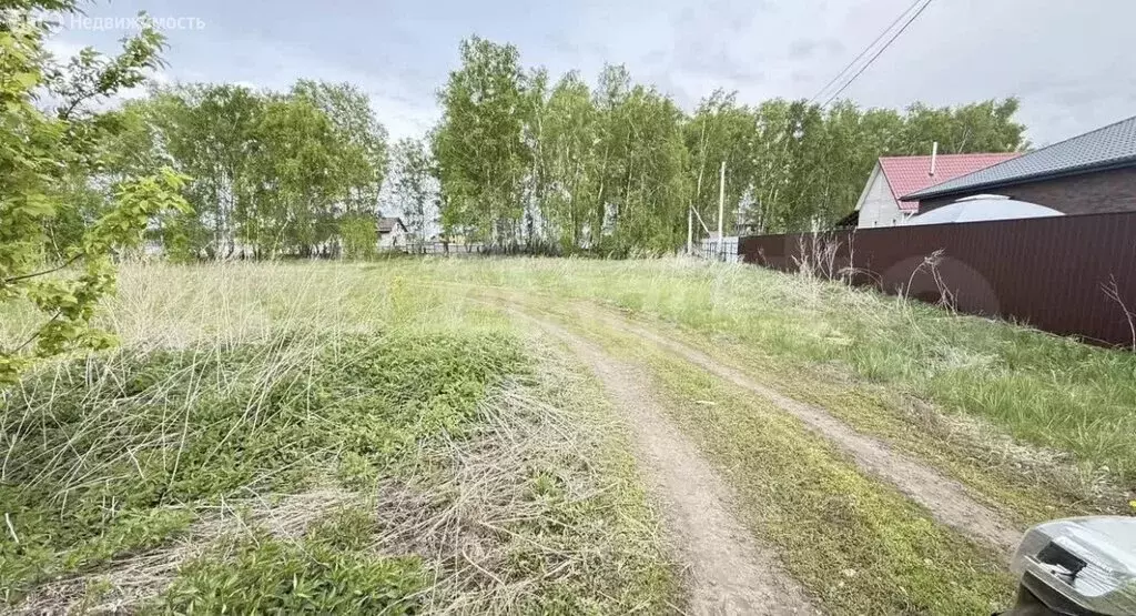 Участок в Омск, территория СОСН Интернационалист (12.5 м) - Фото 2