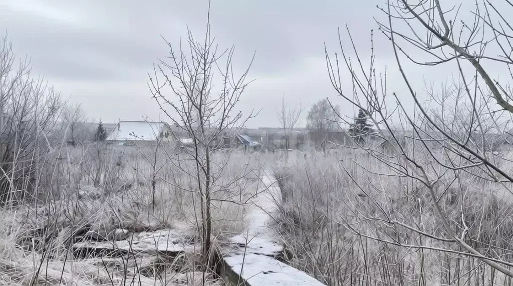 Участок в Тульская область, Тула городской округ, д. Барсуки  (17.0 ... - Фото 1